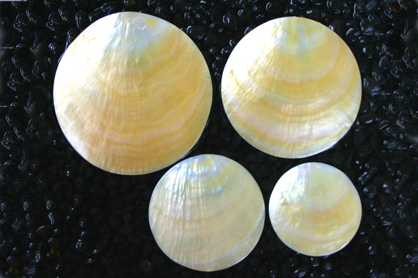 Gold Pearl Shell Jewellery Pieces - Round